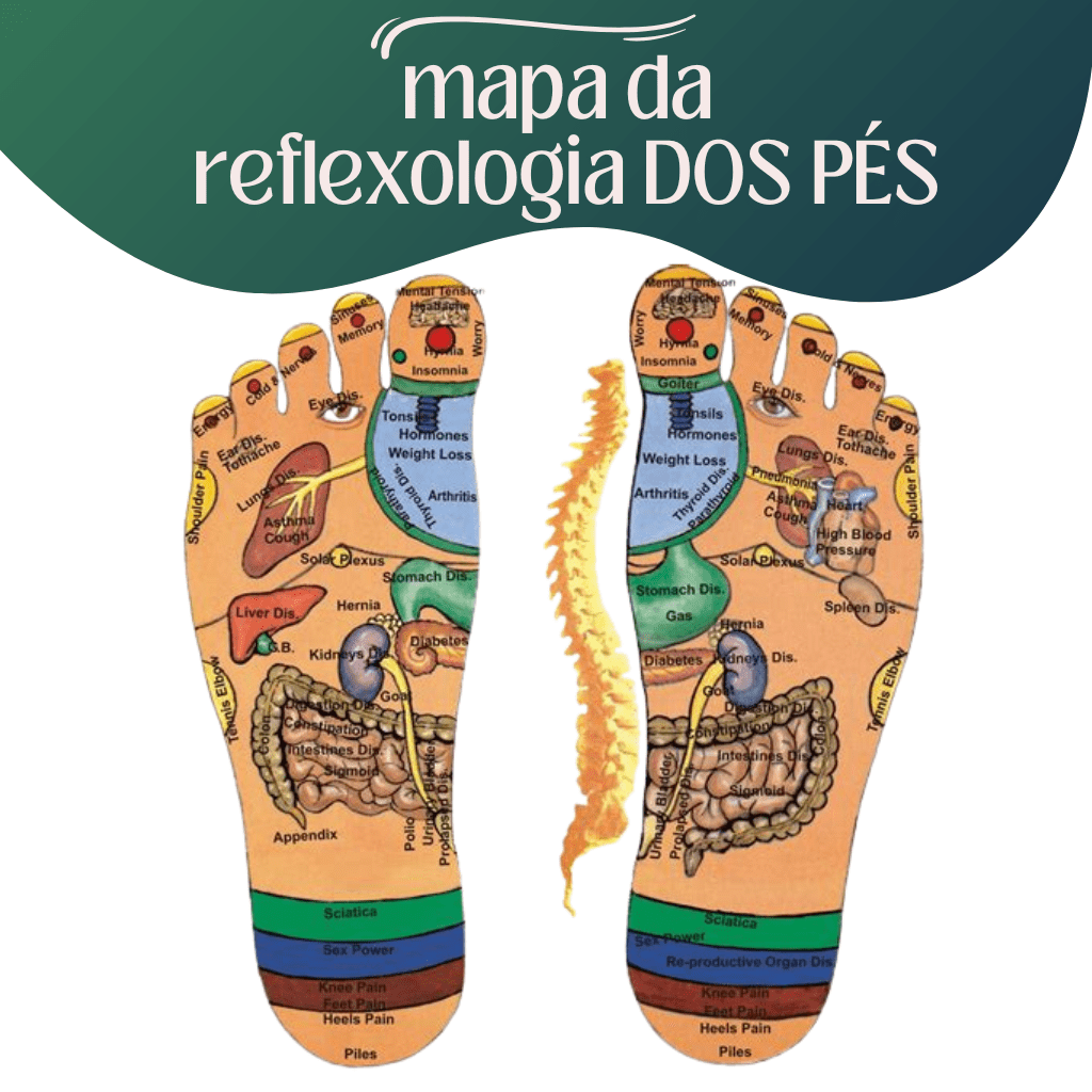 Mapa da Reflexologia Podal